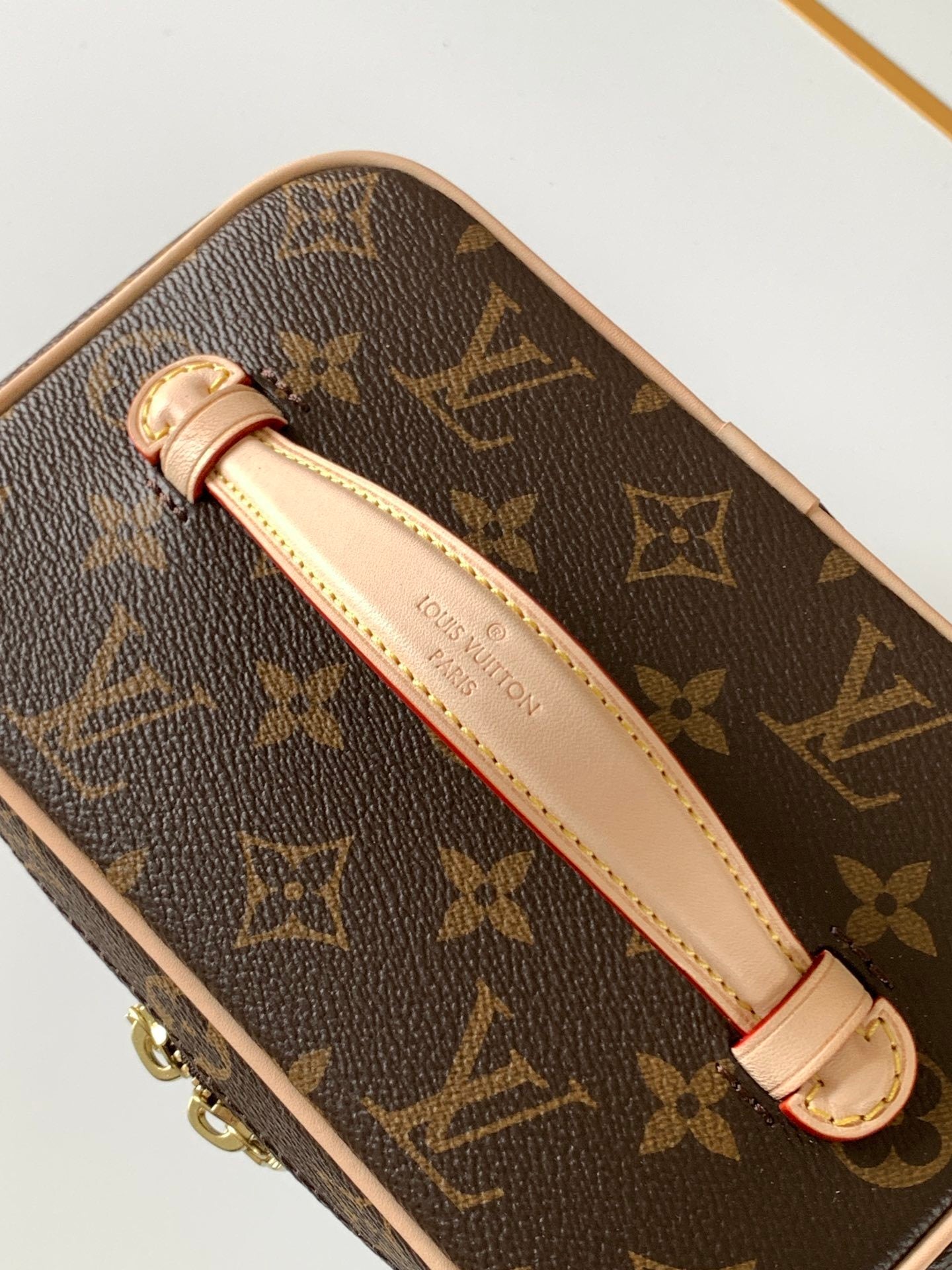 Louie Vanity Bag