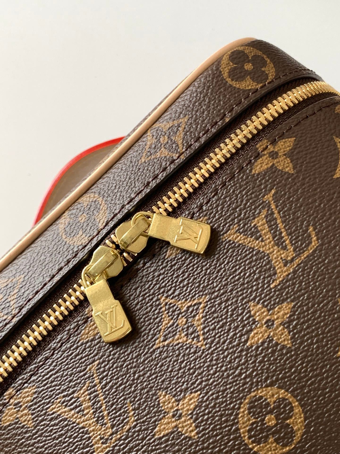 Louie Vanity Bag